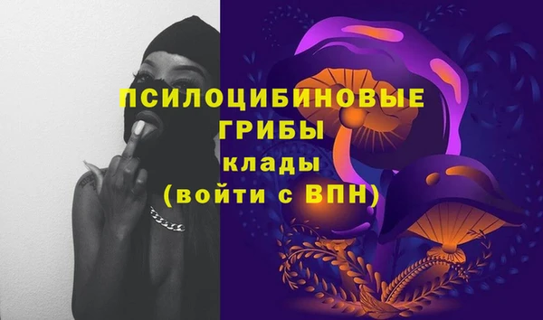 jwh Аркадак