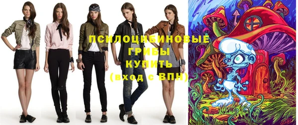 МДПВ Армянск