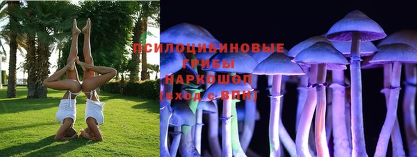 МДПВ Армянск