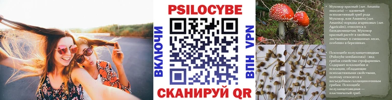 это состав  Сосновоборск  Псилоцибиновые грибы Magic Shrooms 